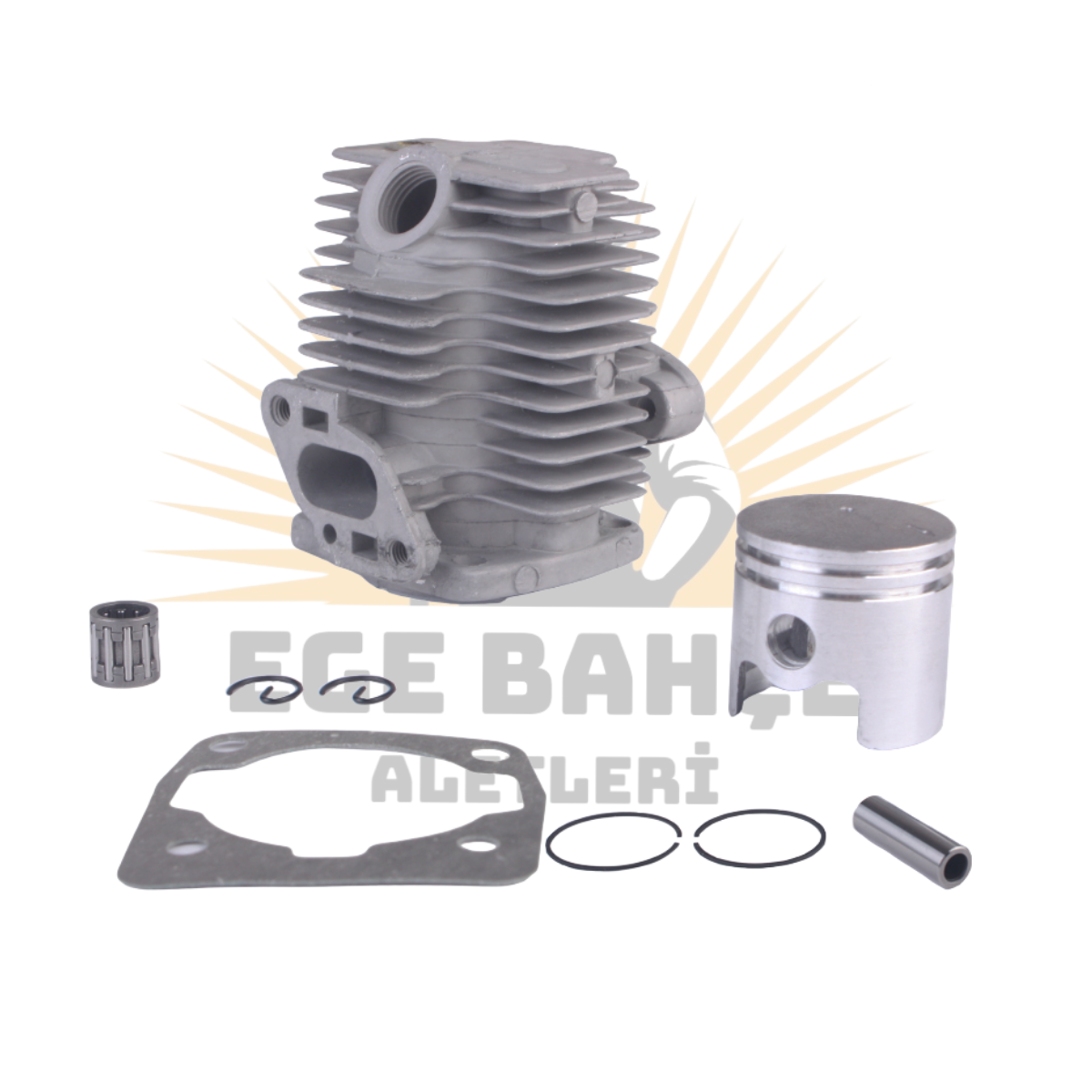 SİLİNDİR PİSTON SEKMAN İLAÇLAMA MAKİNESİ 33MM SET